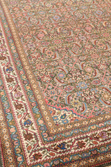 Vista en ángulo de alfombra destacando sus formas vegetales curvas y fondo oliva combinado con elementos florales rosas y azules.