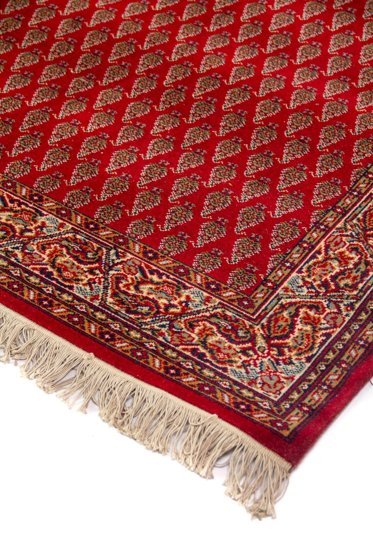 Detalle de esquina de alfombra roja con flecos beige, patrón repetitivo minucioso en el campo central y guarda ornamental con arabescos en rojo, azul marino y blanco suave.