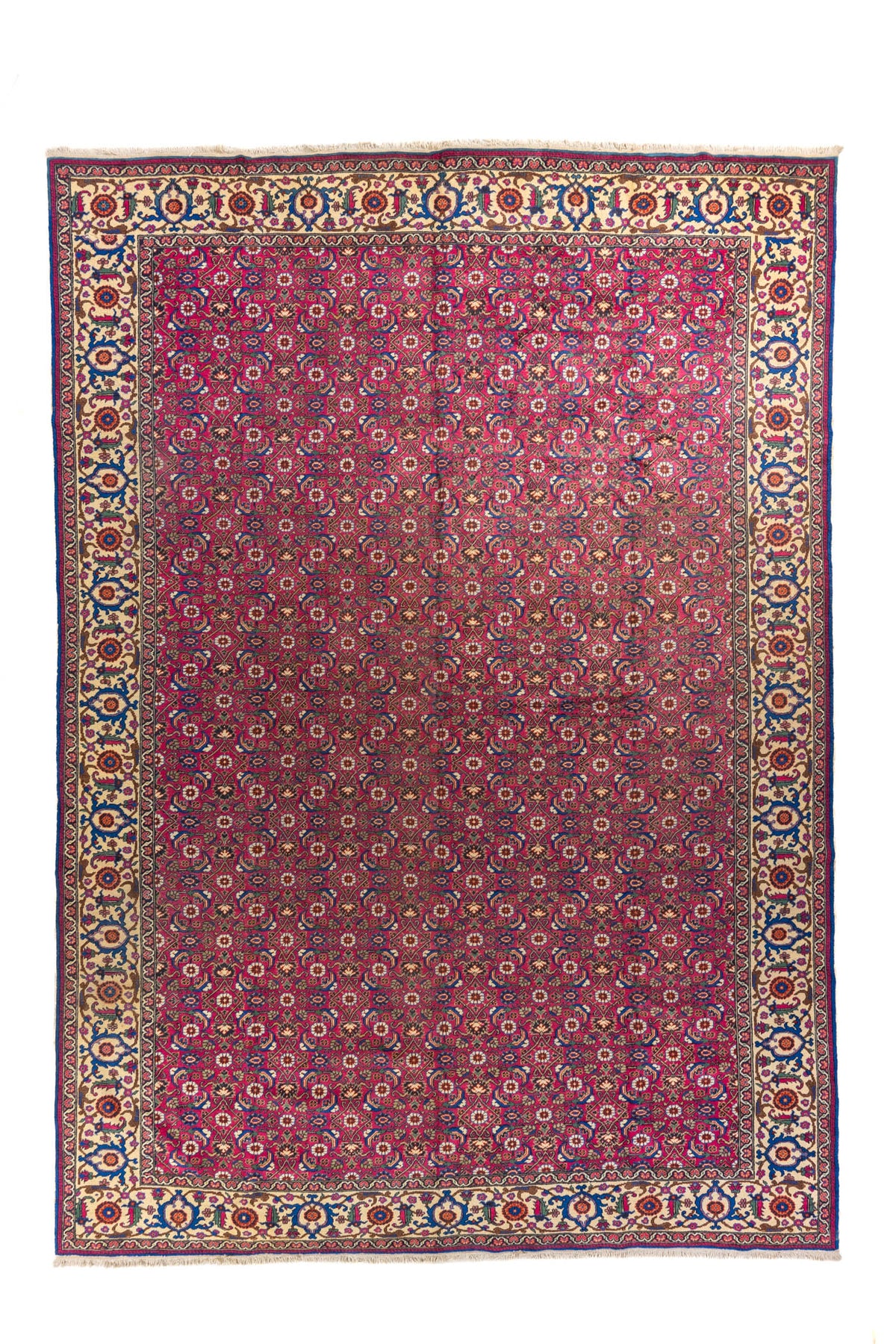 Alfombra clásica oriental en rojo intenso con patrón repetitivo floral y guarda beige decorada, vista completa