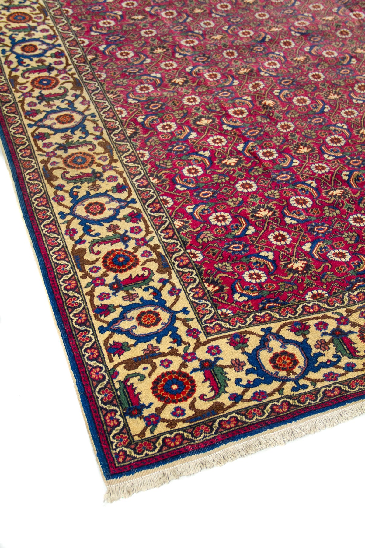 Detalle de esquina de alfombra roja con guarda beige ornamental, borde azul y flecos claros