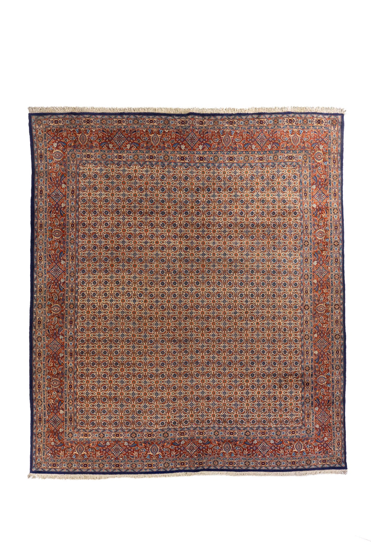 Alfombra oriental de gran formato con fondo marfil, diseño repetitivo minucioso y guarda roja con detalles azules.