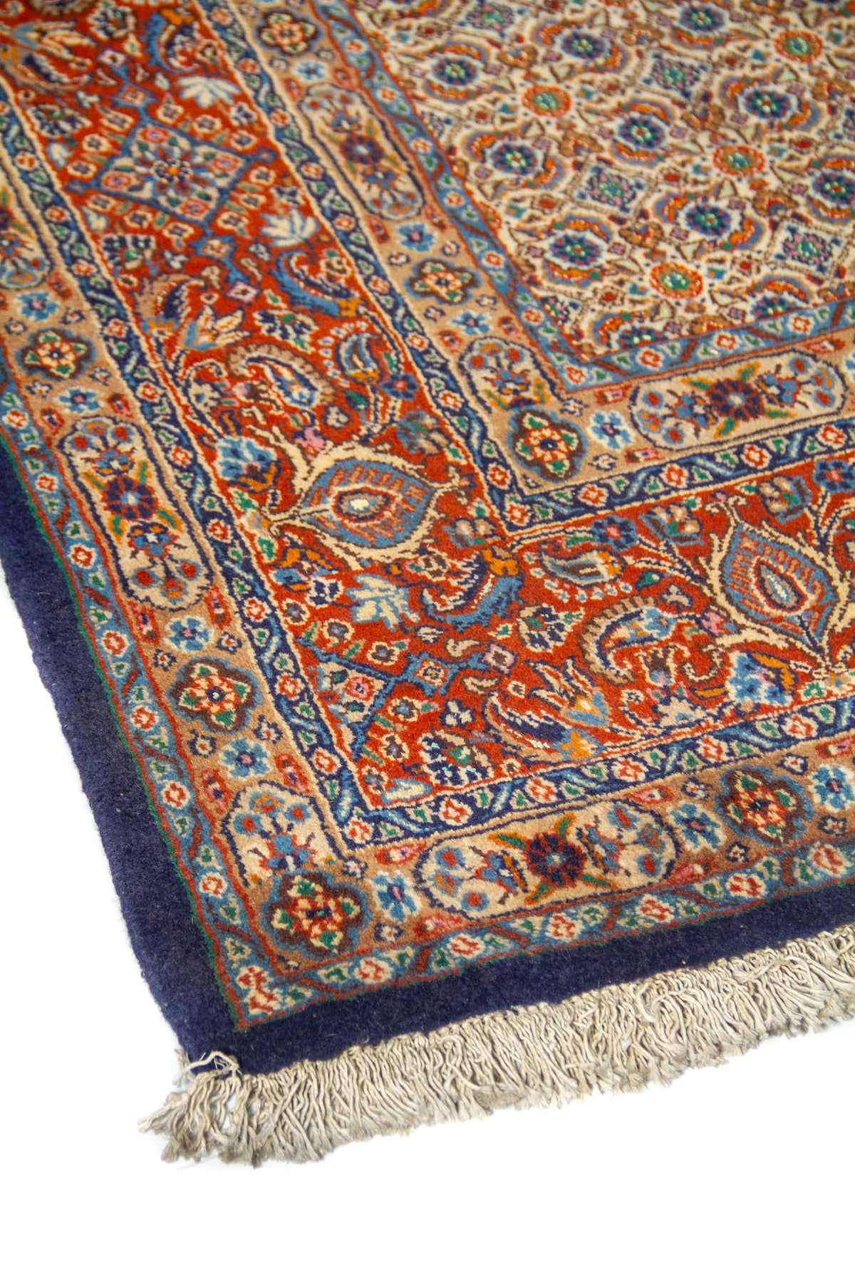 Vista en ángulo de alfombra oriental con campo marfil, guarda roja con motivos florales y flecos claros.