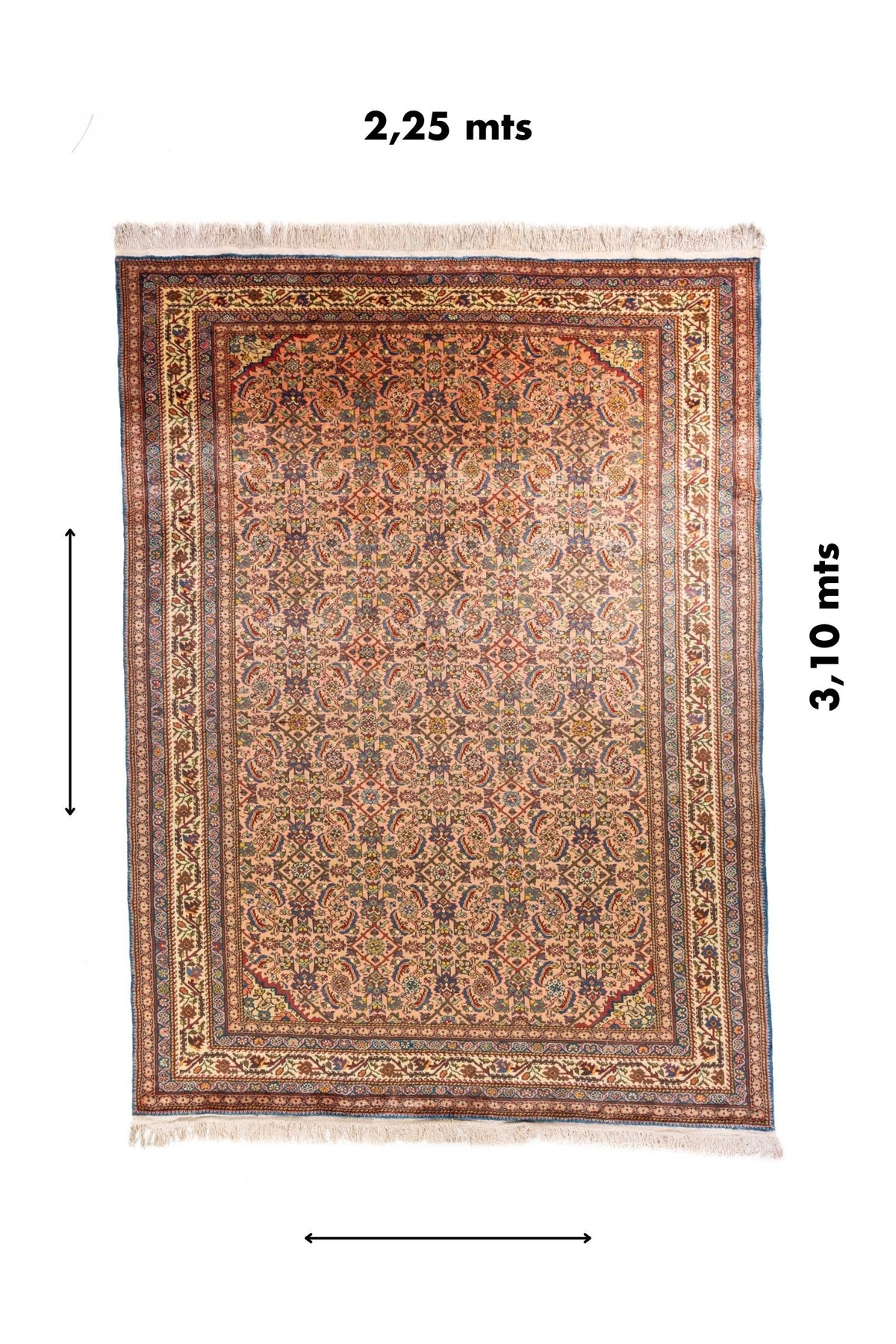 Alfombra clásica de estilo oriental con medidas señaladas de 2.25 mts de ancho por 3.10 mts de largo.